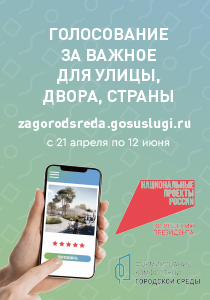 Голосование за проекты благоустройства.