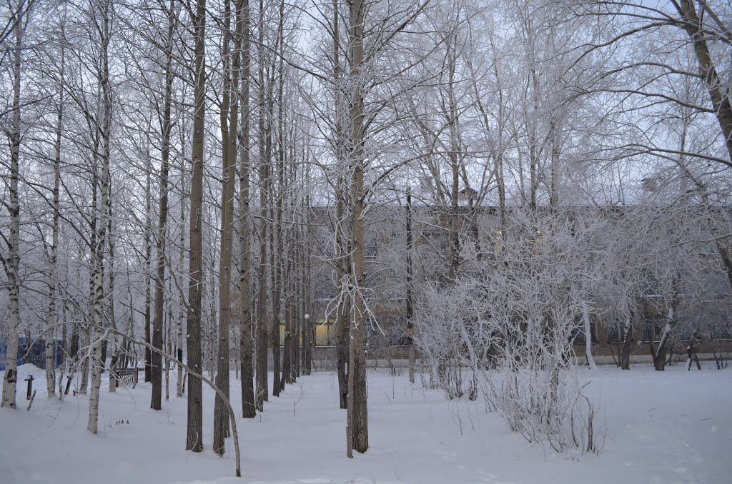 Зимний парк около школы